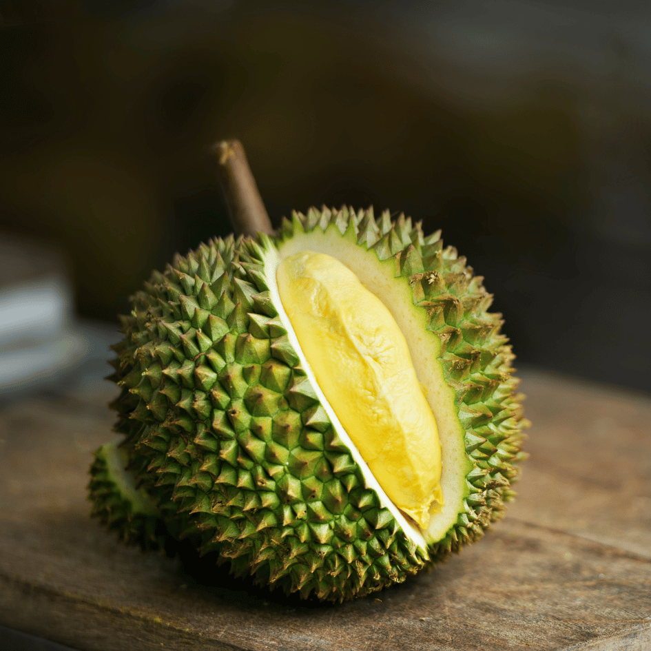 Carousell Testimony (1)