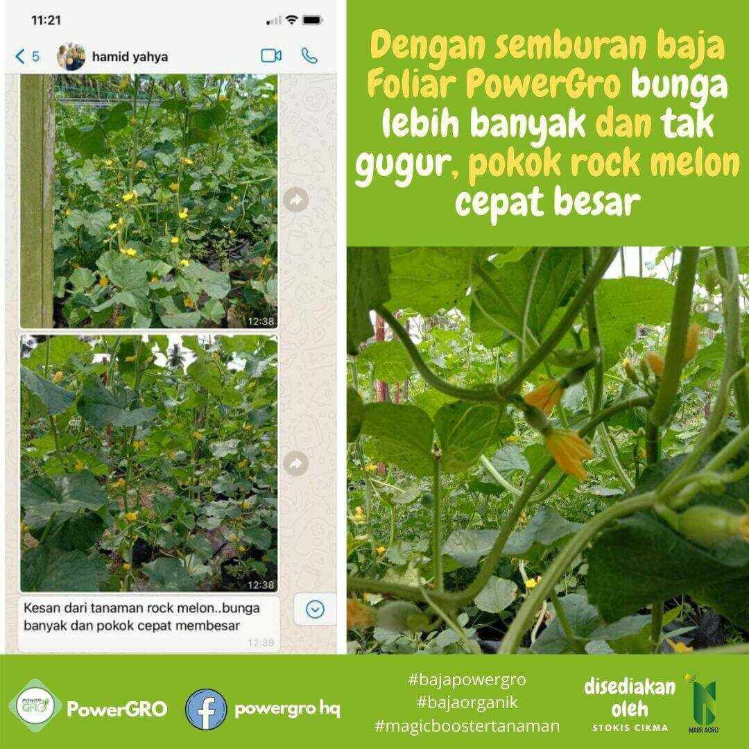 3f8483c7-568d-4824-83cf-6021c7c71f5e_optimized