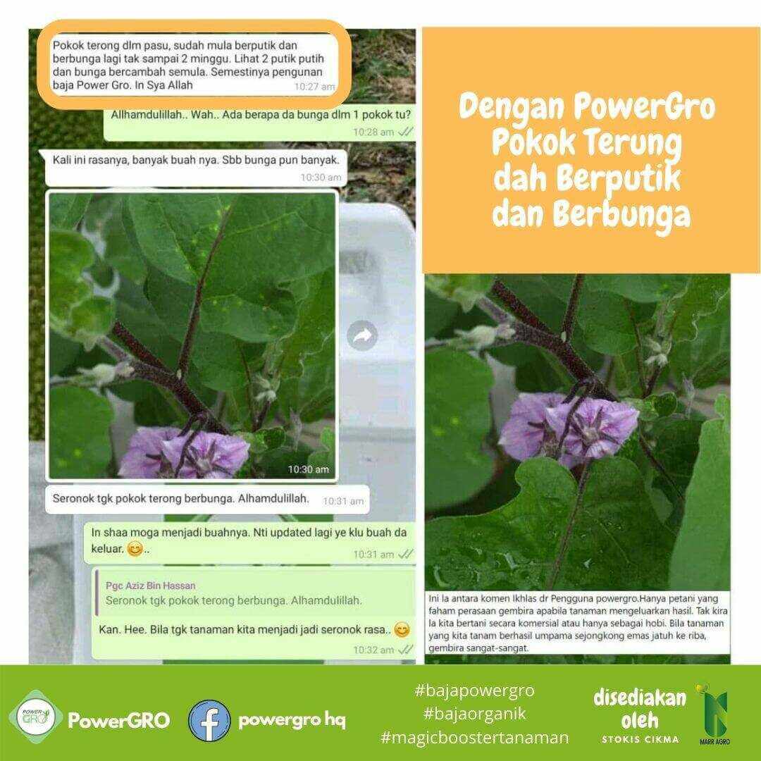 5d435f83-a915-4ab4-b626-6a174c48b7bc_optimized-1